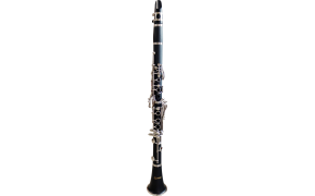  CLARINETE SPRING CL-800 SP 