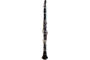  CLARINETE SPRING CL-800 SP 